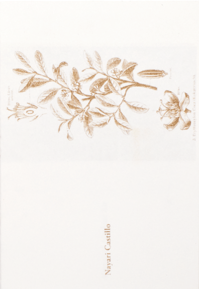 Invisible Books by Claude Closky – Edition Taube