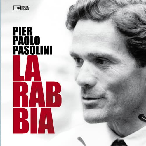 La rabbia