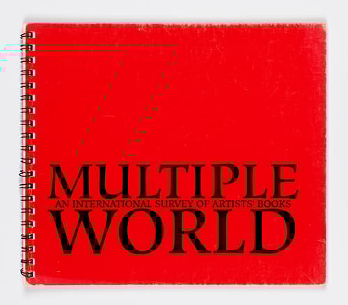 Multiple World