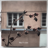 The V-view