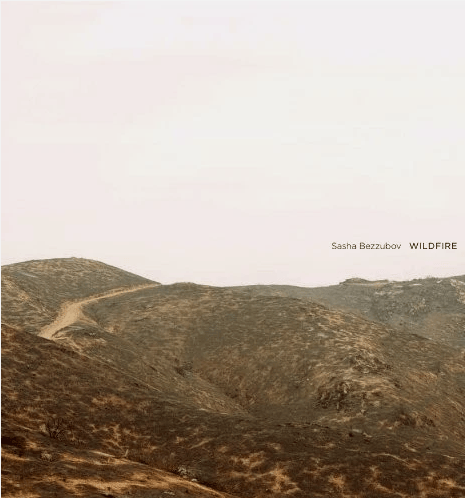 Wildfire