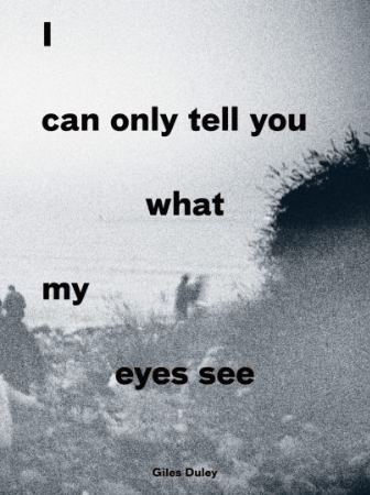 I Can Tell You What My Eyes See