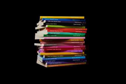 How to Shoplift Books – David Horvitz’ cultural translation project